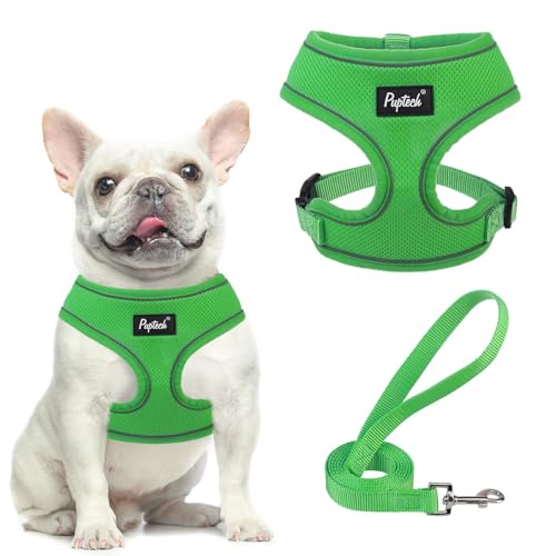 PUPTECK Soft Mesh Dog Harness and Leash Set Pet Puppy Cat Comfort Padded Vest No Pull Harnesses, Solid Green, S - color: Solid Green, size: S (NECK: 12", CHEST: 14"-18")
