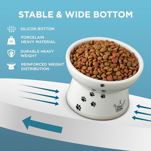 Necoichi Ceramic Raised Cat Food Bowl, Whisker-Friendly (Cats, Large Flat) - color: Cat, size: Large