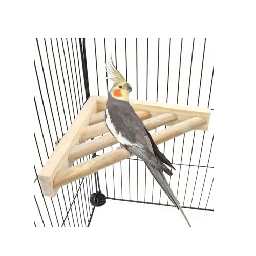 Litewoo Bird Perch Corner Platform Stand Shelf for Parrot Budgie Cage, 1PC | Natural wood, bird chew stand toy for parakeet/cockatiel/conure/cockatoo, smooth polished surface, corner cage space saver - size: 1PC