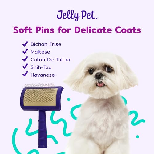 Jelly Pet Universal Slicker Brush for Dogs, Dog Grooming Brush, Remove Tangles and Dead Undercoat, Tuffer Than Tangles Maltese Shi-Tzu Poodle Bichon, Soft Pins, Purple, Small - color: Purple, size: Small (2.5 in x 4 in) - Pins (Soft)