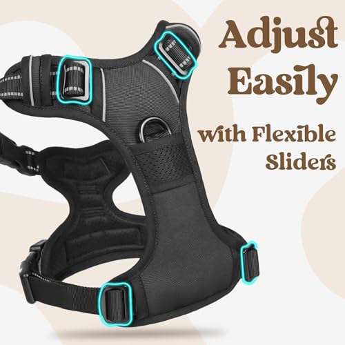 rabbitgoo Dog Harness Small Sized, Updated Easy On & Off with 3 Buckles | No Pull No Choke, Walking with 2 Clips and Handle, Adjustable Soft Reflective, Black, Small - color: Black, size: Small