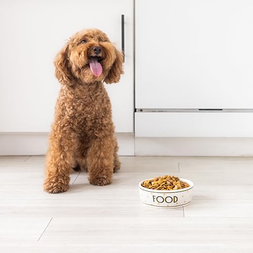 Pearhead Ceramic Dog Bowl, Small/Medium 2.25 Cups/ 18 oz, Bistro Tile | Honeycomb with Gold Accents Stoneware Pet Food & Water Bowl for Small Dogs, Weighted Non-Plastic Feeding Dish - color: Bistro Tile Bowl, size: Small