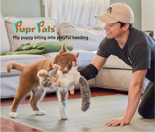 Milunova Pupr Pals Dog Toy Puppet with Tough Padding for Safe Interactive Play, Protection to Stop Puppy Biting Hands; for Boredom-Busting Training and Exercise - style: Nutjob