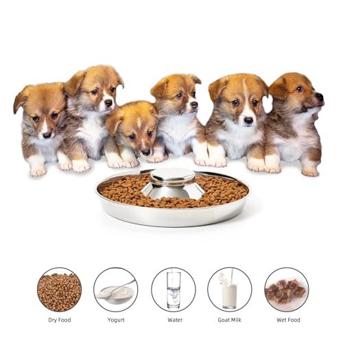 2 Pack Stainless Steel Puppy Bowls, Dog Feeding Bowl | Mush Feeder for Litters, Shallow Weaning for Food and Water, Multiple Dishes - size: M-11.8in/5¼ cups