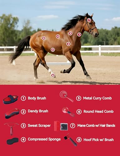 Horse Grooming Kit, 9 Piece Grooming Brush Set with Silicone Curry Comb for Bathing & Shedding Shadowberry - color: Shadowberry