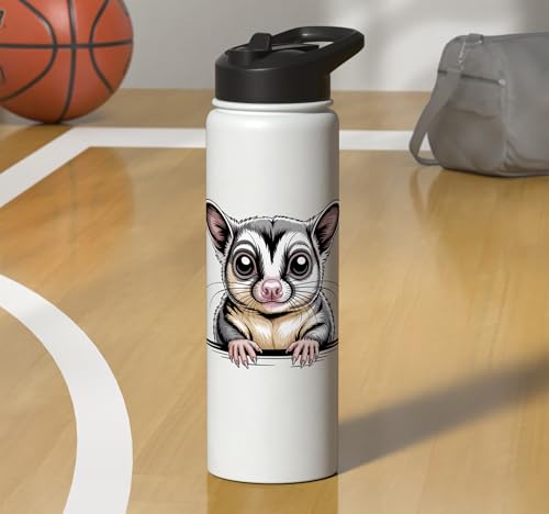 Sugar Glider Cute Peeking Marsupial Funny Animals Stainless Steel Insulated Water Bottle - color: White