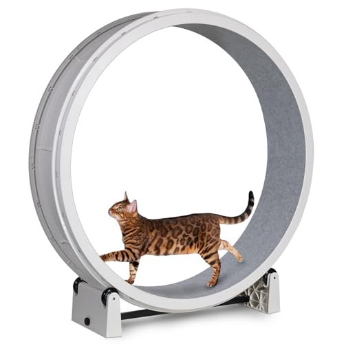 One Fast Cat - Cat Exercise Wheel - Made in the USA - 48" Diameter - Gen. 7 | White with Gray Felt Traction Pads and Solid Black Inline Wheels - color: White Wheel / Gray Felt / Solid Black Inline