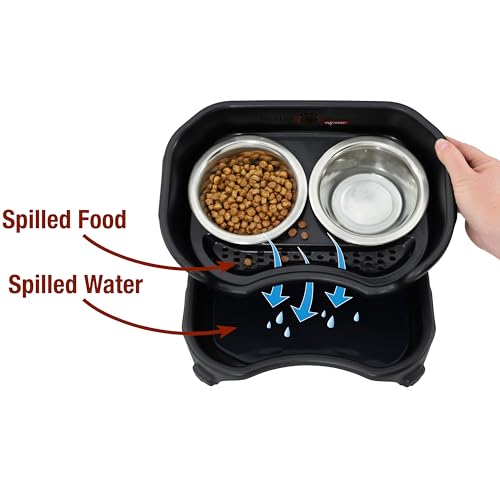 Neater Feeder Express Mess Proof Dog Bowls Elevated for Small Breeds Under 15 Lb, Made in USA, No Spill Raised Dog Food Bowl Stand, Stainless Steel Food and Water Bowl Set, Feeding Station, Black - color: Midnight Black, size: Small w/ Standard Bowls