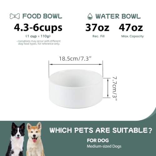 Havniva Ceramic Dog Bowls, 7.3” Dog Food and Water Bowl, Pet Feeding Bowl | Dog Food Bowl for Medium Dogs, Food-Grade Ceramic, Dog Water Bowl with Non-Slip Rubber Base, Large Capacity, Dishwasher Safe - color: Matte White, size: 7.3" - Bowl