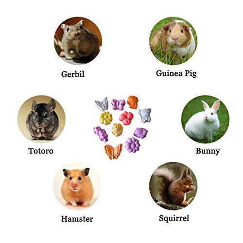 Hamiledyi 10 Pieces Hamster Teeth Grinding Lava Block Calcium Stone Chew Toys for Chinchillas Rabbits Gerbil Guinea Pig Syrian Hamster Squirrel Ferret
