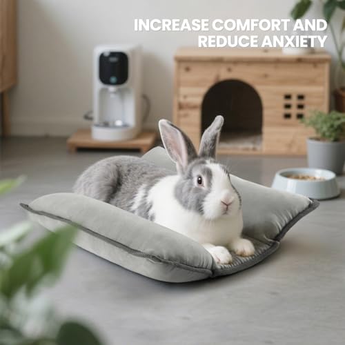 Rabbit Bed, Washable Bunny Pillow, Reversible Lounger Pad, Soft Small Animal Bedding, Stress Relief Pet Mat for Kittens, Guinea Pigs, Puppies - color: Light Grey