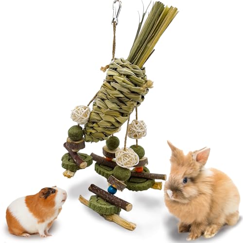 Rabbit Chew Toy, Bunny Cage Hanging Chew Toy & Treats,Natural Material Handwoven Chinchilla Treats Toys for Guinea Pigs Hamsters Rats and Other Small Pets Teeth Grinding - color: Grass Radish Style