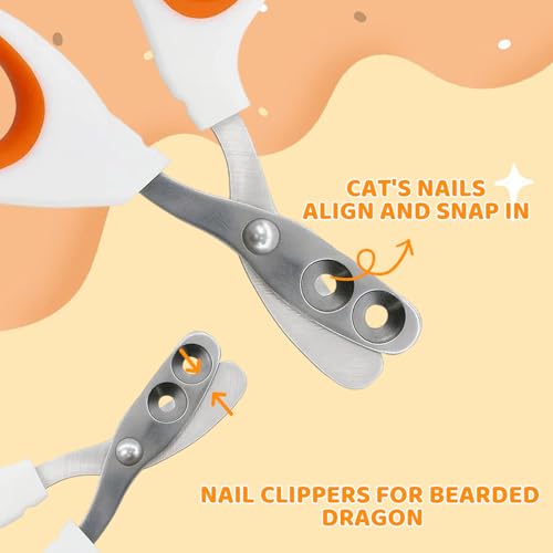 Stainless Steel Bearded Dragon and Lizard Nail Clippers (Orange), Bearded Dragon Supplies, Durable Reptile Grooming Tool, Nail Scissors for Small Reptiles, 10.3 x 6.6 cm