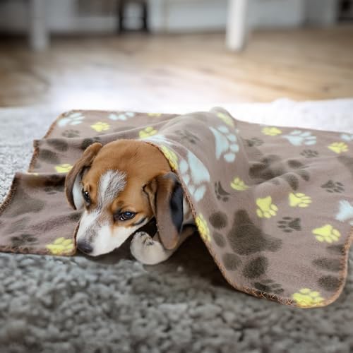Tatuo 10 Pieces Pet Blankets with Paw Print Dog Cat Fleece Blankets Soft Warm Sleep Mat Pad Bed Cover for Kitten Puppy and Other Small Animals, 24 x 28 Inch(Cute Color) - color: Cute Color