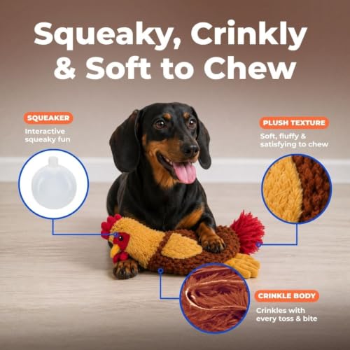 Best Pet Supplies Interactive Squeaky Dog Toy - Crinkle Chicken, Red | Stuffing Free Body, Soft, Squeaks & Crinkles, No Mess, Perfect for Moderate Chewers, Toss and Fetch Play - color: Crinkle Chicken (Wine Red), size: Large