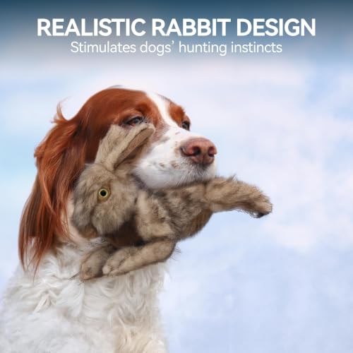 ALL FOR PAWS Rabbit Squeaky Doy Toy, Bunny Dog Toy for Medium Large Breed, Puppy Fetch Toy with Squeaker, Plush Chew Dog Toy, Classic Brown Rabbit-L - size: Large (Pack of 1)