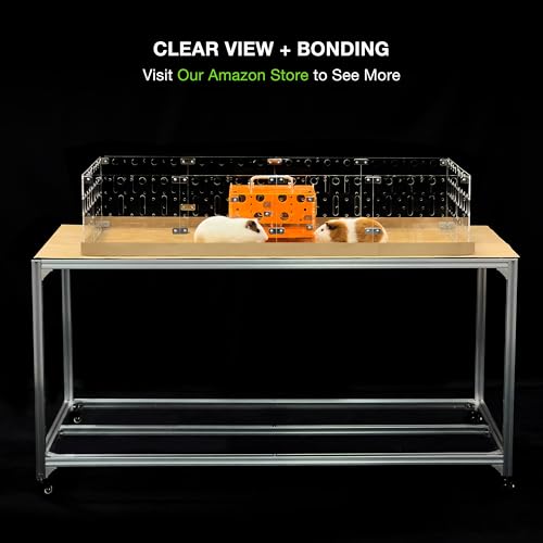 GuineaLoft™ Model-A Acrylic Guinea Pig Cage - Large 4x2ft Expandable C&C Cage, Works Also for Small Roaming Animals Like Rabbits, Button Quails, Hedgehogs - color: Model-A