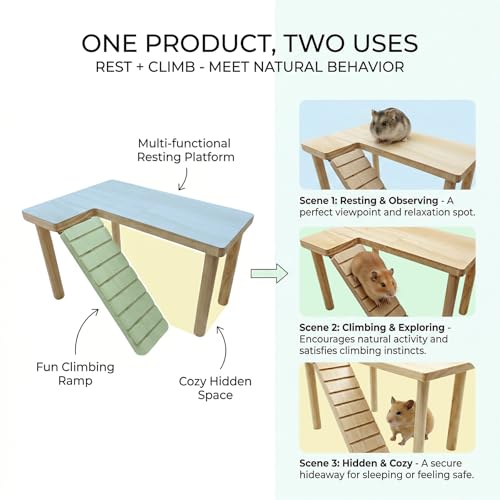 Natural Wood Hamster Platform, Hinge-Connected Ramp & Screw-Fixed Poles for Extra Stability, Chew-Safe Small Animal Loft for Cage Accessories, Gerbil, Mouse (Large-Sized) - size: large-sized