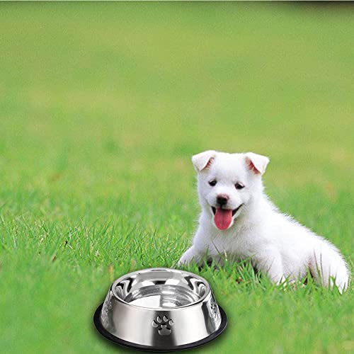 YUDANSI 2 Stainless Steel Dog Bowls, Puppy Kitten Feeding Bowls, Shallow Cat Dish with Rubber Base, Mini and Small Pet Feeder Food Water Plate (S-11oz) - size: S-11.8oz