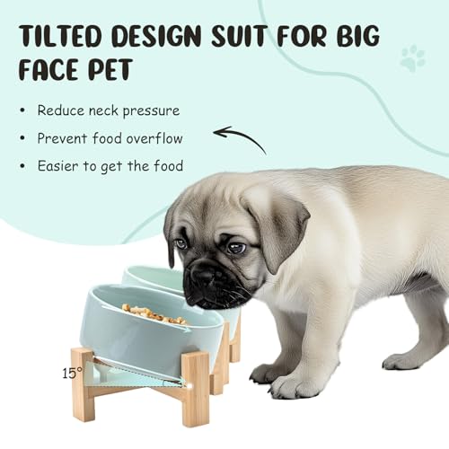 SPUNKYJUNKY 15° Slanted Ceramic Dog and Cat Bowl with Wooden Stand, Tilted Bulldog Food and Water Bowl No Slip Non-Spill for Cats Medium Dogs Big Face Pets 28.7 OZ (3.6 Cups, Morandi Green × 2) - color: Morandi Green, size: 3.6 CUPS × 2