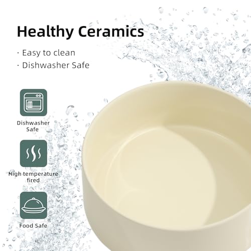Havniva Raised Cat Bowl, 6.1” Elevated Ceramic Cat Food and Water Bowl Set | Cat Bowls Elevated, Whisker Friendly Cat Bowl, Non-Slip Wood Stand, Food-Grade Ceramic, Wide Opening, Dishwasher Safe - color: 2 x Bowl + Stand - Light Yellow, size: 6.1inch
