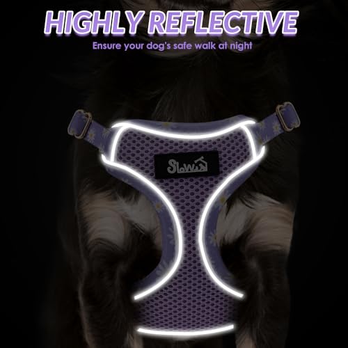 Lukovee Puppy Harness and Leash Set, No Pull Step in Lightweight Mesh Vest | Soft, Reflective, Easy Put on and off, Adjustable, Breathable Air Mesh, with 51in Leash for Walking Hiking (Purple, XXS) - color: Purple, size: XX-Small (2.2-6 lb)
