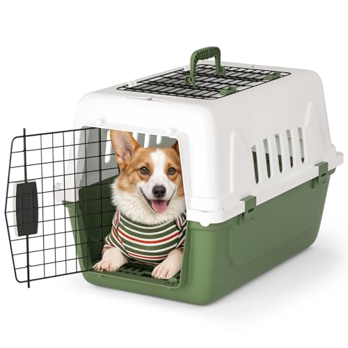 Magshion 22 Inch Hard-Sided Dog Cat Carrier, Green | Top and Front Door Access, Plastic Dog Kennel for Longer Traveling, Durable Handle and 4 Sides Ventilation, For Pet Up 26 lbs - size: 22.0"L x 14.5"W x 15.0"H