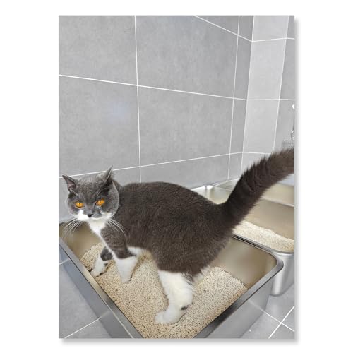 Stainless Steel Cat Litter Box,Small Metal Cat Litter Box,17.5"Lx13.5"Wx6"H | Deep Litter Pan for Cats Kittens, Easy to Clean Odor Control Durable Nonstick Smooth Surface - color: 6" H, size: 17.5"L x 13.5"W