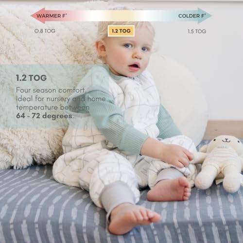 Dreamsuit Walker Toddler Sleep Sack with Feet and Legs, 3T-4T | 70% Rayon Made from Bamboo, 30% Organic Cotton, 0.8 TOG Summer, 2-Way Zipper, Buttery Soft Wearable Blanket, Cactus - color: (1.2 Tog) Alphabet, size: 3-4T