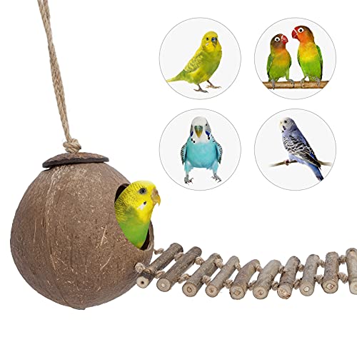 Niteangel Natural Coconut Hamster Hideaway with Ladder, Bird and Small Animal Toy (House with Ladder, Smooth Surface) - color: Smooth Surface