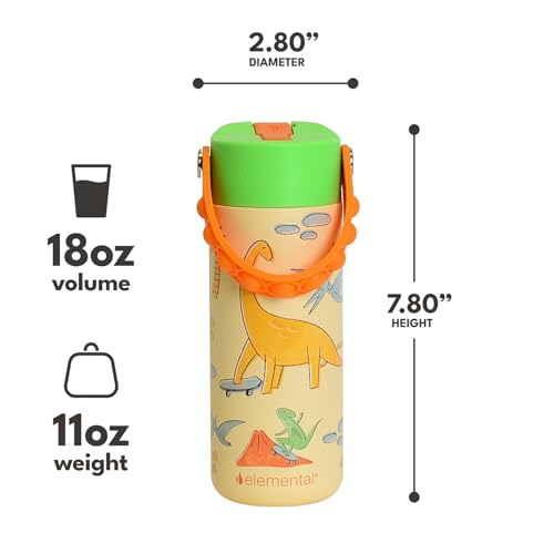 Elemental Insulated Kids Water Bottle, Stainless Steel Water Bottle with Straw Lid & Pop-It Handle, Leak-Proof Water Bottles for School, Boys or Girls, Travelling and Sports, 18oz - Skater Dinos - color: Skater Dinos