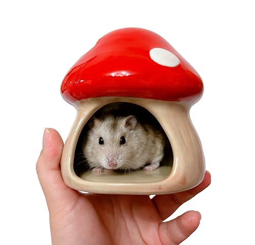 YZHZOM Ceramic Hamster Hideout - Small Animal Houses & Habitats for Mice, Gerbils, Lemmings or Other Small Pets - Accessories