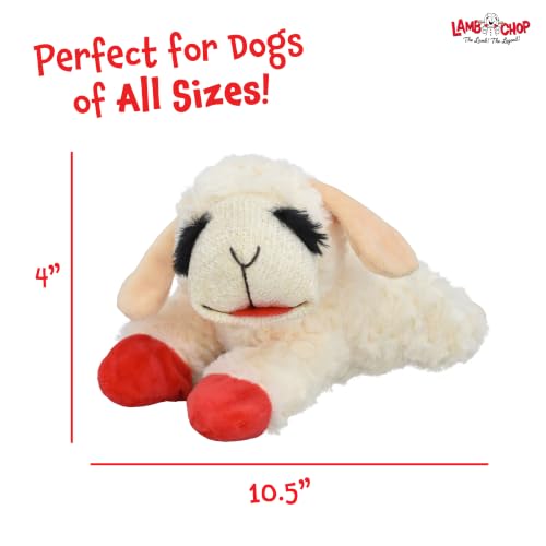 Multipet Lamb Chop Dog Plush Toy - Squeaky Toy for Small & Medium Dogs - Extra Soft Plush - Stuffed Animal for Cuddling & Playing (10", Cream, 5 Squeakers) - size: 10", style: Lambchop