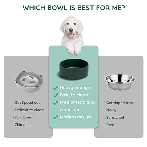 SPUNKYJUNKY 13.5OZ Ceramic Dog and Cat Bowl, Modern Cute Weighted Food Water Bowl for Replacement Green (1 Pack) - color: Green, size: 1.7 CUPS