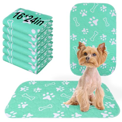 BEAUTYZOO 6 Pack Washable Pee Pads for Dogs, Reusable Puppy Pads for Potty Training, Waterproof Super Absorbent Whelping Pads Mats Non Slip Against Urine for Small Medium Dogs Cats, 16" x 24" - color: Aqua Blue, size: 16 X 24 Inch (Pack of 6)