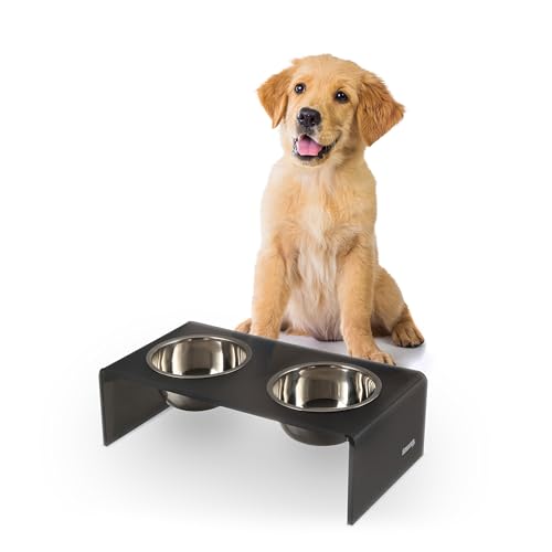 DBL2000J Keaton 5" Small/Medium Modern Acrylic Rectangular Elevated Pet Feeder with 20oz 2-Stainless Steel Bowls, Dark Gray/Chrome - color: Dark Gray/Chrome, size: 20 Ounces (5" Cups 2-Pack)