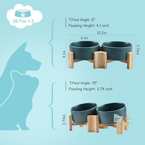 SPUNKYJUNKY 15° Slanted Ceramic Dog and Cat Bowl with Wooden Stand, Tilted Bulldog Food and Water Bowl No Slip Non-Spill for Cats Medium Dogs Big Face Pets 28.7 OZ (3.6 Cups, Green × 2) - color: Green, size: 3.6 CUPS × 2