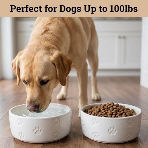 Ceramic Dog Bowl Set of 2 with Anti-Skid Base 7.5" W x 3" H, 6 Cup Capacity | Thick Ceramic, Dishwasher Safe, Anti-Skid Rubber Base, 6 Cups per Bowl, Ceramic Food & Water Bowls Set of 2 for Large Dogs - color: White, size: Large