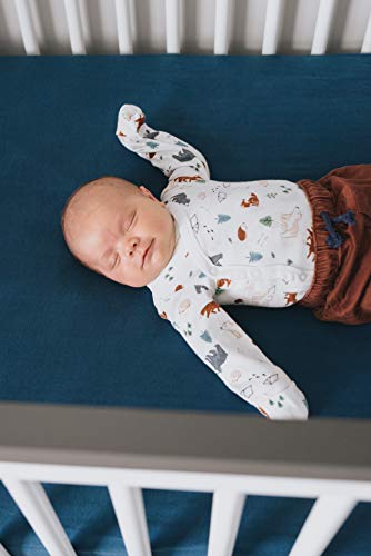 Copper Pearl Premium Knit Baby Crib Sheets for Standard Mattresses, Breathable and Soft, River - color: River