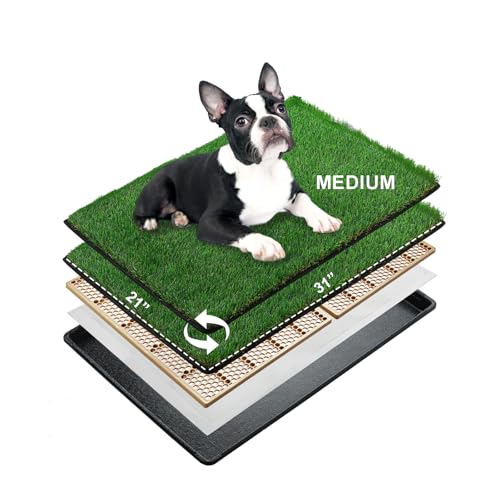 MEEXPAWS Dog Grass Pee Pads for Dogs with Tray | Medium 31×21 in | 2× Dog Artificial Grass Pads Replacement| Rapid Drainage | Indoor Litter Box | Hemmed Edge - size: Medium - 31 x 21 inch