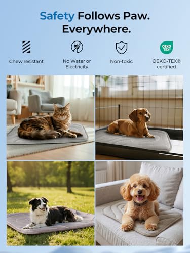 Dog Cooling Mat, Anti-Slip, Thick 3D Orthopedic Summer Pad for Dogs & Cats, Q-MAX > 0.5, Non-Toxic, Machine Washable, Chew-Resistant, Portable for Crate, Bed, Sofa, Car (Cool Grey, Small) - size: Small