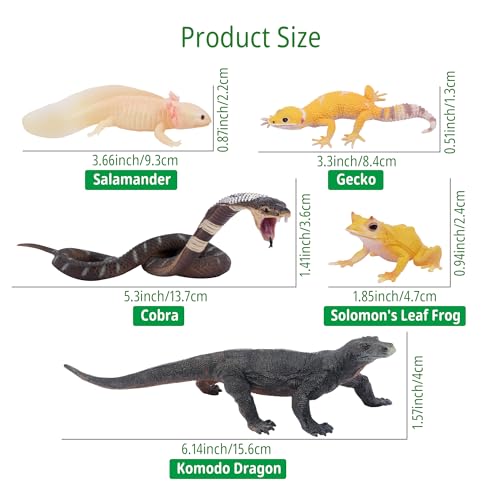 Toymany Reptile Animal Figurine Toys Set, 12 PCS Halloween Desert Amphibians Animal Figures with Komodo Dragon Lizard Snake Chameleon Rainforest Cold Blooded Animals Figures Party Favor for Kids - style: Reptile Animal Figurine