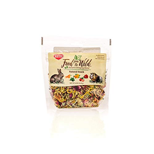 Kaytee Food from The Wild Natural Snack for Pet Rabbits, Guinea Pigs and Other Small Animals, 1 Ounce (Pack of 2) - size: 1 Ounce (Pack of 2)