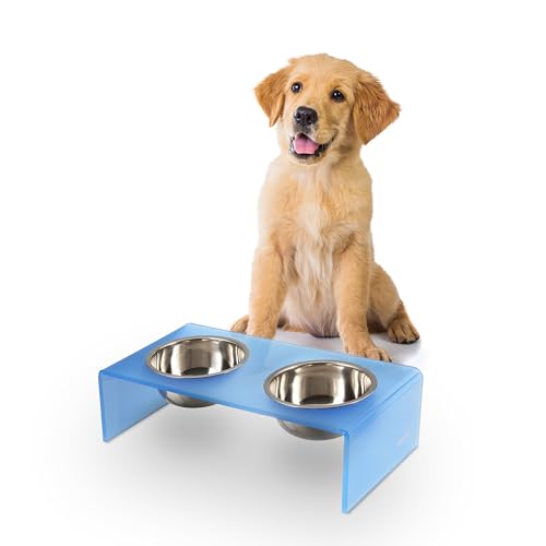 DBL2000C Keaton 5" Small/Medium Modern Acrylic Rectangular Elevated Pet Feeder with 20oz 2-Stainless Steel Bowls, Blue/Chrome - color: Blue/Chrome, size: 20 Ounces (5" Cups 2-Pack)