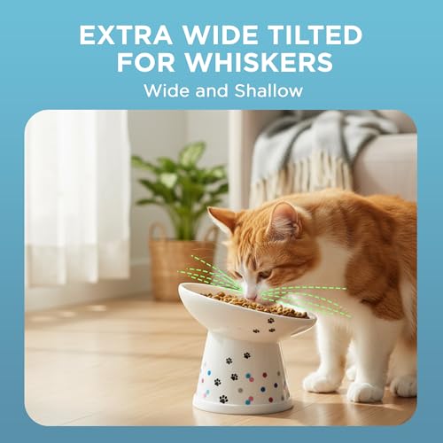 Necoichi Ceramic Elevated Food Bowl, 15° (Colorful Dots, Extra Wide Tilted) - color: Colorful Dots, size: Large Extra Wide Tilted