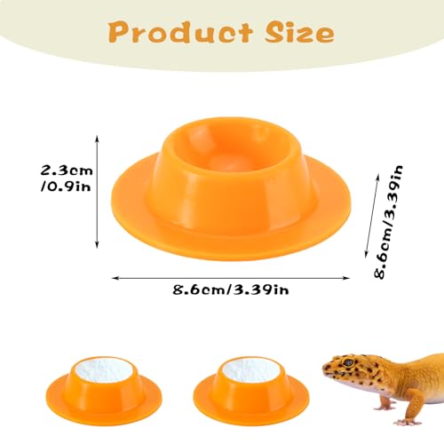 2 Pack Leopard Gecko Food Dish Gecko Calcium Dish Reptile Water Food Bowl Calcium Bowl for Bearded Dragon Lizard Turtle Gecko Jumping Spider