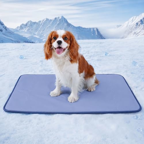 Deconovo Dog Cooling Mat, Reversible Cool-to-Touch Summer Pad with Quilted Soft Fill, Breathable Lightweight Pad for Bed/Couch/Crate, Machine Washable, Blue, 40x60 Inches - color: Blue, size: 40"W x 60"L (Pack of 1)