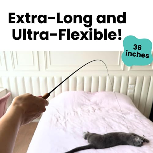 Forever Stick 1-Pack - The Unbreakable Cat Wand Toy, Durable Cat Toy Wand, Extra Long Cat String Toy, Cat Fishing Pole Toy for Bored Indoor Adult Cats, Cat Stick Toy, Cat Feather Wand, Cat Teaser Wand - size: Forever Stick 1-Pack
