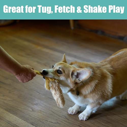 SPOT Skinneeez Flying Squirrel 14 Inch Stuffing-Free Plush Squeaky Dog Toy – Soft Tug-of-War Toy for Small and Medium Dogs – Mess-Free Interactive Chew Toy for Moderate Chewers - style: Mini Flying Squirrel