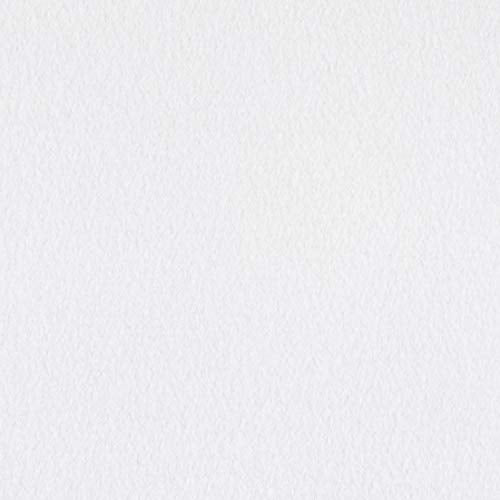 Polar Fleece Solid White, Fabric by the Yard - color: White, size: Yard